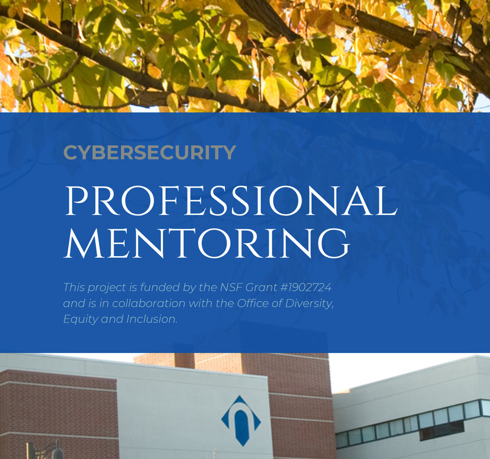 Cover image of Professional Mentoring flyer